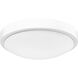 Gabi LED 10 inch Matte White Flush Mount Ceiling Light